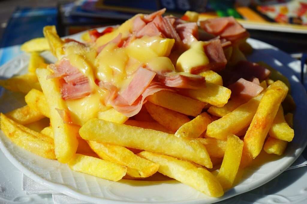 french fries, meal, fries-461705.jpg
