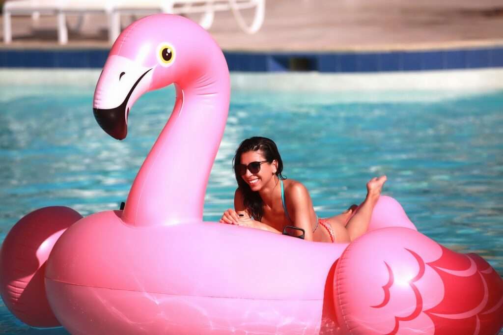 flamingo, pool, sea-3654498.jpg